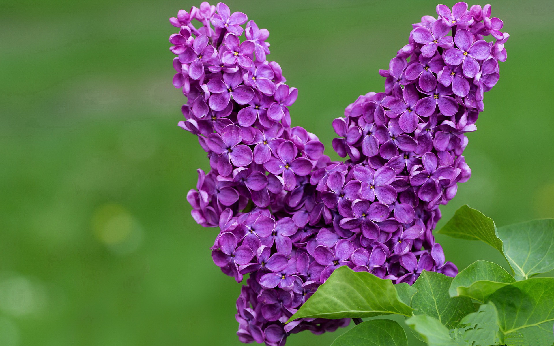 九游下载中心-传奇球员的背后故事，激励无限年轻一代，传奇球员都有谁